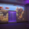 Проекционный дизайн "Виртуальная реальность" базовый комплект 500 анимаций - «globural.ru» - Ступино