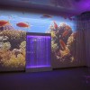 Проекционный дизайн "Виртуальная реальность" безлимитный комплект 1200 анимаций - «globural.ru» - Ступино