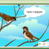 Интерактивное развивающее пособие "Говорящие картинки. Слушаем и повторяем" - «globural.ru» - Ступино