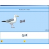 Английский язык. Освоение клавиатуры - «globural.ru» - Ступино