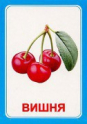 Логопедические карточки и картинки для развития речи - «globural.ru» - Ступино