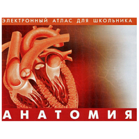 Анатомия. (Цифровой атлас школьника) - «globural.ru» - Ступино