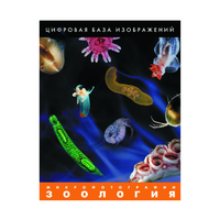 Зоология. Микрофотографии. (Цифровая база изображений) - «globural.ru» - Ступино