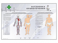 Электрифицированный стенд "Остановка кровотечения" - «globural.ru» - Ступино