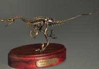Модель скелета динозавра Velociraptor - «globural.ru» - Ступино