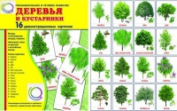 Демонстрационные карточки "Деревья и кустарники" - «globural.ru» - Ступино