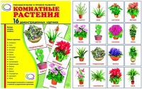 Демонстрационные карточки "Комнатные растения" - «globural.ru» - Ступино