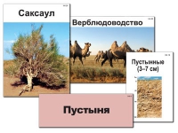 Модель-аппликация "Природные зоны России" - «globural.ru» - Ступино