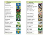 Комплект карточек (10) "Обучающий калейдоскоп. Природа" - «globural.ru» - Ступино