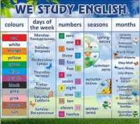 Стенд "We study english" - «globural.ru» - Ступино
