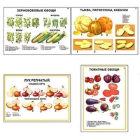Плакаты ПРОФТЕХ "Ассортимент овощных культур" (12 пл, винил, 70х100) - «globural.ru» - Ступино