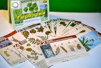 Гербарий к курсу основ общей биологии - «globural.ru» - Ступино