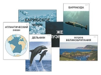 Модель-аппликация "Океаны. Знакомство" (ламинированная) - «globural.ru» - Ступино