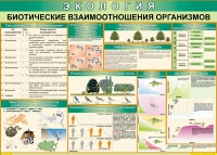 Таблица Биотические взаимоотношения организмов 1000*700 (винил) - «globural.ru» - Ступино