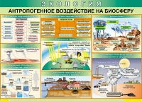 Таблица Антропогенное воздействие на биосферу 1000*700 винил - «globural.ru» - Ступино