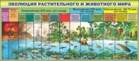 Стенд "Эволюция растительного и животного мира" - «globural.ru» - Ступино