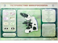 Электрифицированный стенд "Устройство микроскопа и правила работы c ним" - «globural.ru» - Ступино