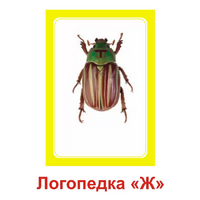 Логопедка "Ж" (логопедические карточки) - «globural.ru» - Ступино