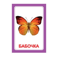 Логопедка "Ч" (логопедические карточки) - «globural.ru» - Ступино