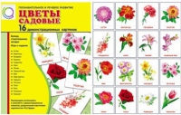 Демонстрационные карточки "Цветы садовые" - «globural.ru» - Ступино