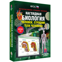 Наглядная биология. Человек. Строение тела человека - «globural.ru» - Ступино