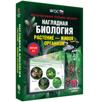 Наглядная биология. Растение - живой организм - «globural.ru» - Ступино