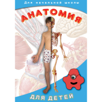 DVD  Анатомия для детей - «globural.ru» - Ступино