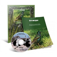 Электронное наглядное пособие «Птицы» - «globural.ru» - Ступино