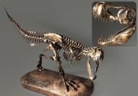 Модель скелета динозавра Tyrannosaurus - «globural.ru» - Ступино