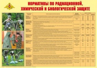 Плакат "Нормативы по радиационной, химической и биологической защите" - «globural.ru» - Ступино