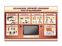 Многофункциональный интерактивный стенд-тренажер "Оказание первой помощи пострадавшим" для учащихся общеобразовательных учреждений - «globural.ru» - Ступино