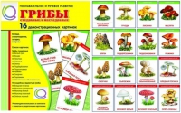 Демонстрационные карточки  "Грибы съедобные и не съедобные" - «globural.ru» - Ступино
