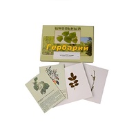 Гербарий "Деревья и кустарники" (22 вида, с иллюстрациями) - «globural.ru» - Ступино