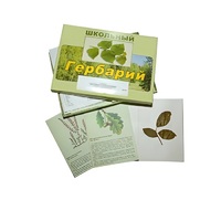 Гербарий "Дикорастущие растения" (30 видов, с иллюстрациями) - «globural.ru» - Ступино