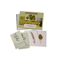 Гербарий "Лекарственные растения" (22 вида, с иллюстрациями) - «globural.ru» - Ступино