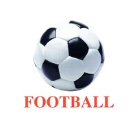 Карточки Домана "Sports equipment-1" ("Спортинвентарь-1") на английском языке - «globural.ru» - Ступино