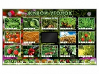 Комплект оборудования "Живой уголок" (растения) - «globural.ru» - Ступино
