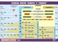 Таблица демонстрационная "Сравнение понятий изомер и гомолог" (винил 100х140) - «globural.ru» - Ступино