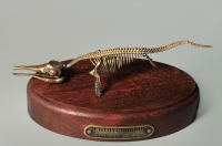 Модель скелета ихтиозавра Ichthyosaurus - «globural.ru» - Ступино