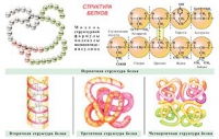 Плакаты и таблицы по общей химии - «globural.ru» - Ступино