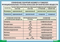 Химия. Сравнение понятий изомер и гомолог. Функциональные группы классов органических веществ (винил) - «globural.ru» - Ступино