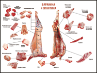 Правила разделки мясных туш "Баранина и ягнятина" 1000*1400 винил - «globural.ru» - Ступино