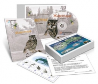 Комбинированное наглядное пособие «Животные» - «globural.ru» - Ступино