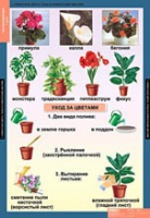 Окружающий мир 1 класс (комплект таблиц) - «globural.ru» - Ступино