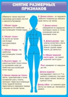 Стенд "Снятие мерок" (вариант 2) - «globural.ru» - Ступино