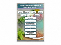Стенд "Схема приготовления мясных котлет" - «globural.ru» - Ступино