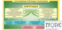 Стенд "Методы селекции и биотехнологии" - «globural.ru» - Ступино