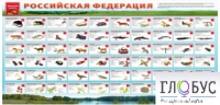 Стенд "Красная книга РФ" - «globural.ru» - Ступино