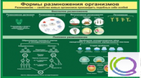 Стенд "Формы размножения организмов" - «globural.ru» - Ступино
