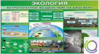 Стенд "Экология. Антропогенное воздействие на биосферу" - «globural.ru» - Ступино